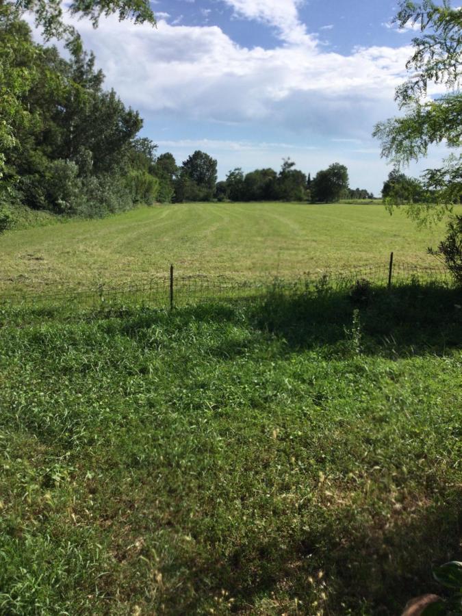 Appartement Dans Un Mas Provencal Istres Eksteriør bilde